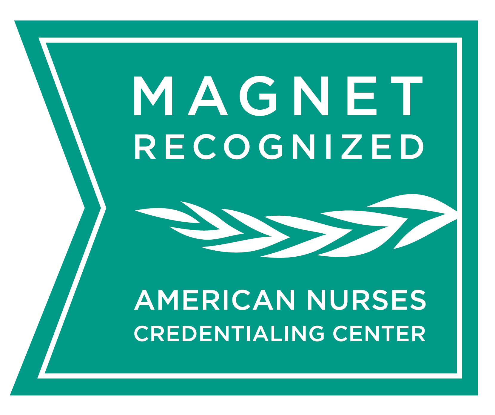 Magnet Logo